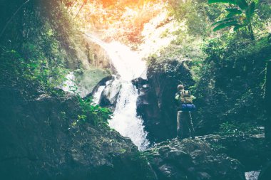 Tropikal ormanda saklı şelale
