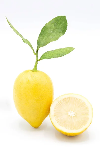 Limone Con Foglia Isolata Fondo Bianco — Foto Stock