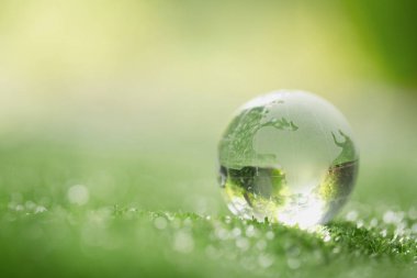 Ormanda çimenlerin üzerinde duran kristal kürenin yakınlığı