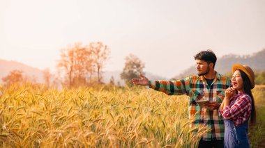 İki çiftçi adam ve kadın bir buğday tarlasında ayakta 