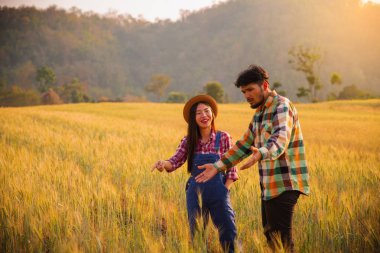 İki çiftçi adam ve kadın bir buğday tarlasında ayakta 
