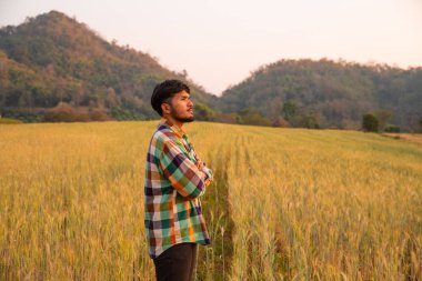 Scott tişörtlü genç çiftçi altın tarlasına bakıyor.