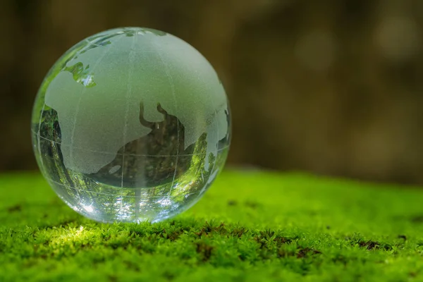 Närbild på glasglob i skogen. — Stockfoto