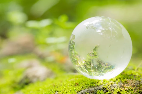 Nahaufnahme einer Glaskugel im Wald. — Stockfoto