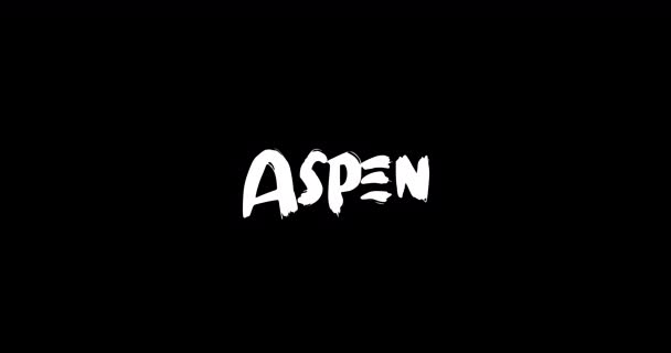Nombre Niña Aspen Grunge Digital Efecto Transición Tipografía Texto Audaz — Vídeo de stock