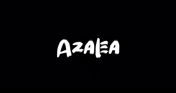 Azalea Baby Girl Name Digital Grunge Transition Effect Bold Text — Wideo stockowe