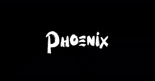 Phoenix Baby Girl Name Digital Grunge Transition Effect Bold Text — Stock Video