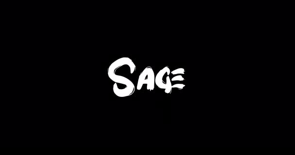 Sage Women Name Grunge Rozpuścić Efekt Przejściowy Animowanego Pogrubionego Tekstu — Wideo stockowe