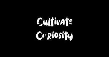 Curiosity.-Motivasyonel Tırnak Tipografisi Metin Animasyonu Grunge Geçiş Efekti Çözümle