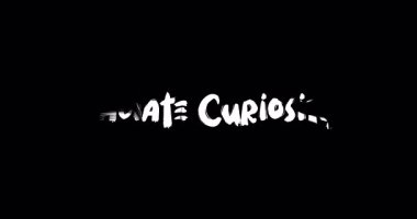 Curiosity-Motivational Typography Metin Animasyon Grunge Geçiş Efekti