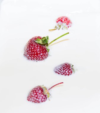  Çilekler süte dökülüyor, püskürtülüyor, kapanıyor.