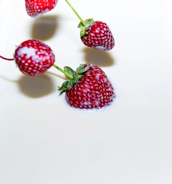 Erdbeeren Milch Fallen Sprühen Nahaufnahme — Stockfoto