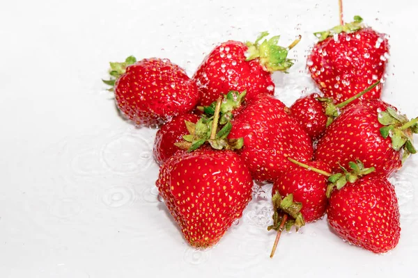 Erdbeeren Mit Wassertropfen Auf Weißem Hintergrund — Stockfoto