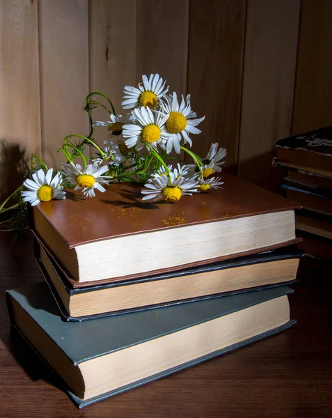Daisies Notebook Stacks Books Lie Table — Stock Photo, Image