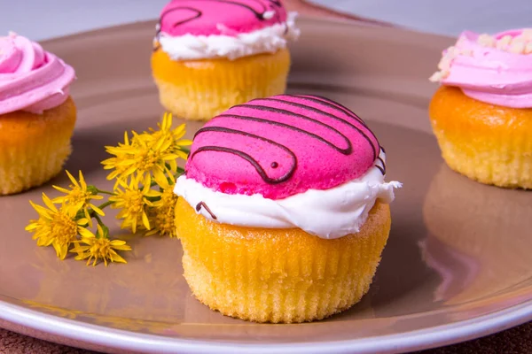 Several Colorfully Decorated Cupcakes Plate Daisies — Stock Photo, Image