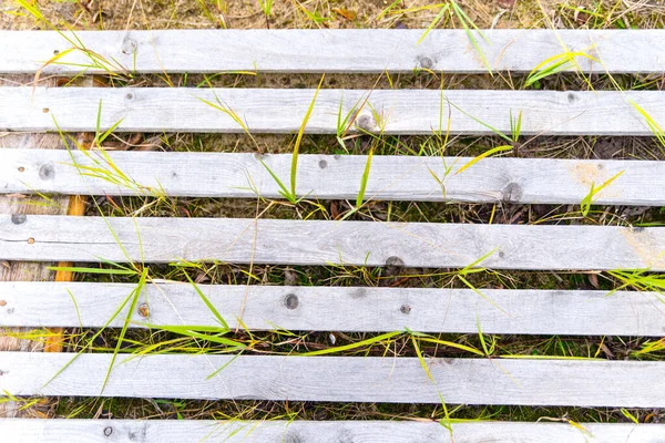 自然からの古い木製の背景は 板を植えず 草で地面に横たわっています — ストック写真