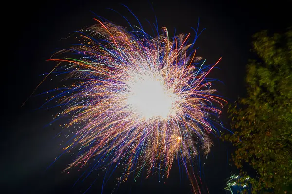 空の花火敬礼 — ストック写真