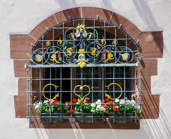 Çiçekli ve işlenmiş demir parmaklıklı pencere, Freiburg, Almanya 19.07.2017