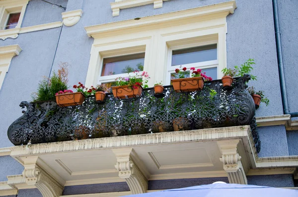 Beau Balcon Avec Fleurs Fer Forgé Fribourg Allemagne 2017 — Photo