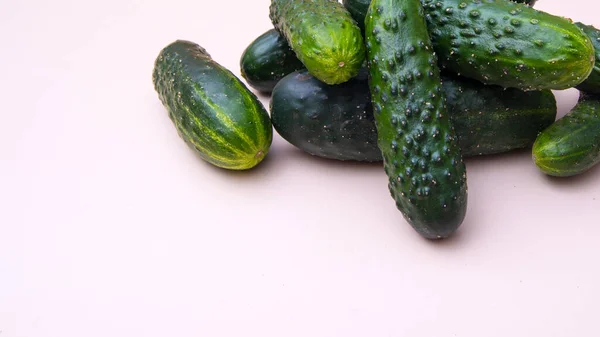 Young Green Cucumbers Close White Background — Stock Photo, Image