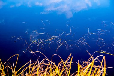 Gökyüzünün mavi sudaki yansıması
