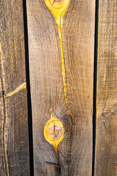 天然の古い木 灰色の黄色の日陰 — ストック写真