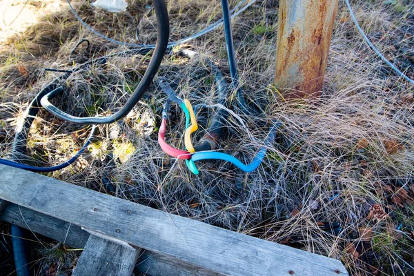 A power cable with a red yellow blue core lies in the yellow grass