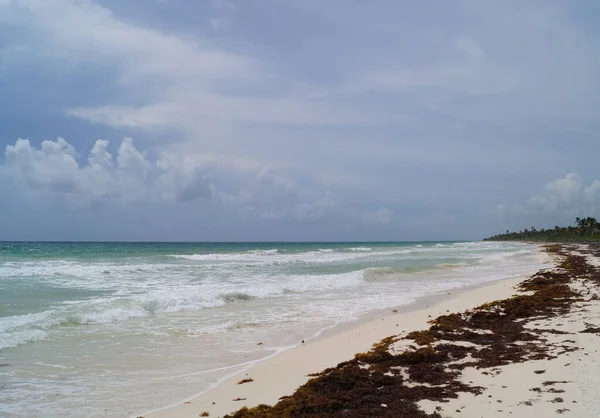 Чудовий Морський Плащ Caribbean Tulum Quintana Roo Mexico — стокове фото