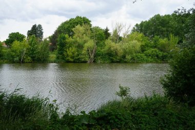 Haziran 'da Wuhlesee manzarası. Kaulsdorf, Berlin, Almanya.