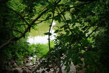 Sığ Wuhle Nehri 'ne bir göz atalım. Marzahn-Hellersdorf, Berlin, Almanya