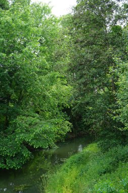 Sığ Wuhle Nehri 'ne bir göz atalım. Marzahn-Hellersdorf, Berlin, Almanya