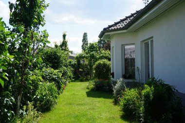 Haziran 'da çiçek açan bir bahçe. Berlin, Almanya 