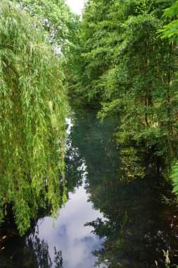 Wuhle Nehri kıyısında yemyeşil bir bitki örtüsü. Wuhle, Spree 'nin küçük bir sağ koludur. Berlin, Almanya