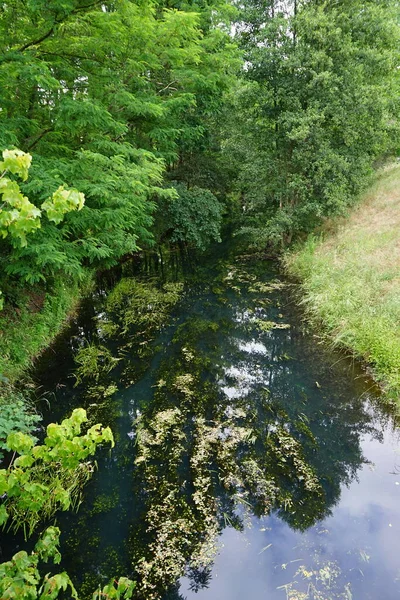 Végétation Luxuriante Sur Les Rives Rivière Wuhle Peu Profonde Wuhle — Photo