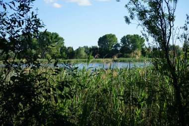 Habermannsee 'ye bir göz atalım. Göl manzarası çok güzel. Marzahn-Hellersdorf, Berlin, Almanya