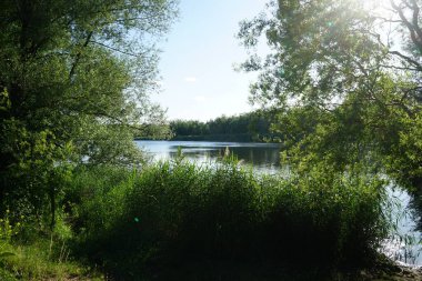 Habermannsee 'ye bir göz atalım. Göl manzarası çok güzel. Marzahn-Hellersdorf, Berlin, Almanya