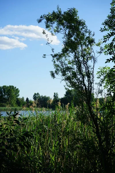 看一下哈贝曼人 美丽的风景与湖泊 德国柏林Marzahn Hellersdorf — 图库照片