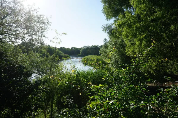 Pohled Habermannsee Krásná Krajina Jezerem Marzahn Hellersdorf Berlín Německo — Stock fotografie