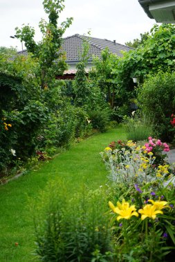 Temmuzda çiçek açan bir bahçe. Berlin, Almanya 