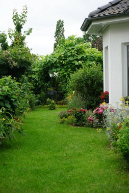 Temmuzda çiçek açan bir bahçe. Berlin, Almanya 
