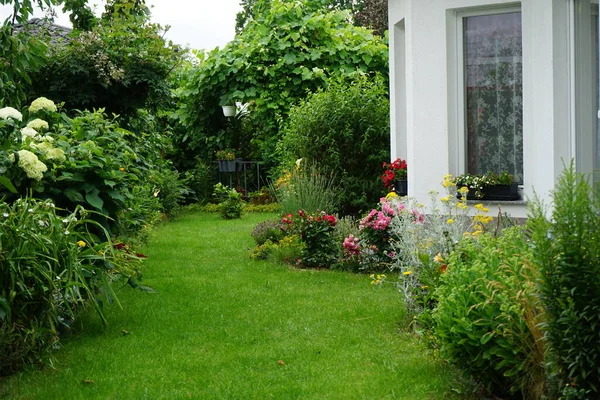 Temmuzda çiçek açan bir bahçe. Berlin, Almanya 