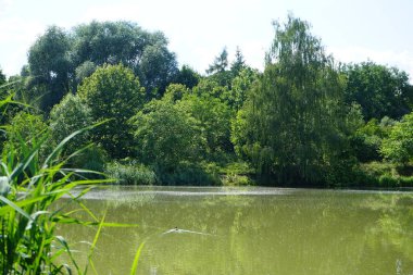 Güneşli bir yaz gününde 