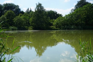 Güneşli bir yaz gününde 