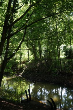 Zengin bitki örtüsüyle çevrili büyüleyici Wuhle sığ nehri. Kaulsdorf, Berlin, Almanya 