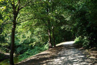 Zengin bitki örtüsüyle çevrili büyüleyici Wuhle sığ nehri. Kaulsdorf, Berlin, Almanya 