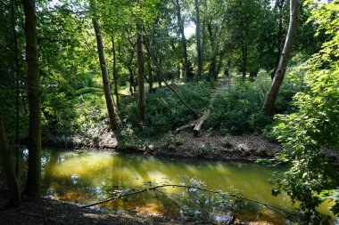 Zengin bitki örtüsüyle çevrili büyüleyici Wuhle sığ nehri. Kaulsdorf, Berlin, Almanya 