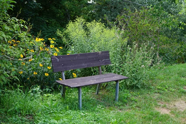 Bänk Vid Stigen Ett Rekreationsområde Berlin Kaulsdorf Berlin Tyskland — Stockfoto