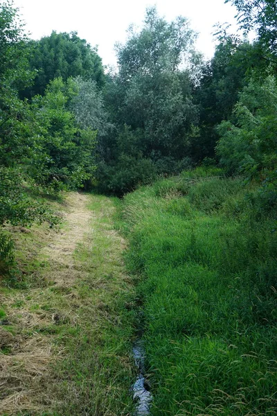 Charming Wuhle Shallow River Surrounded Rich Vegetation Kaulsdorf Berlin Germany — Stock Photo, Image