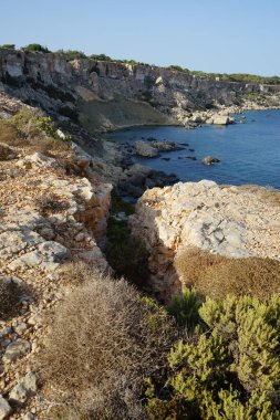 L-Ahrax sahil şeridinde kayalık kıyılar ve eşsiz bitki örtüsü. L-Ahrax, Mellieha, Malta  