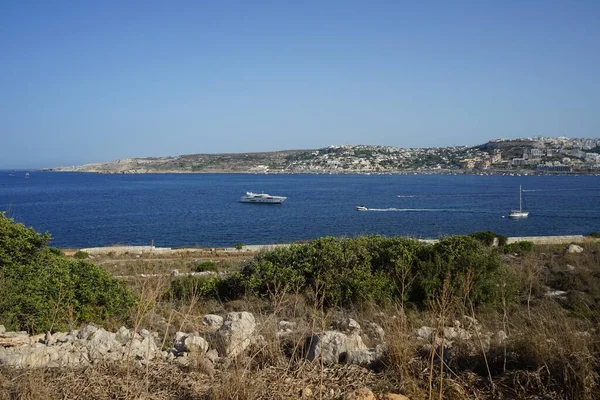  L-Ahrax sahil şeridinde kayalık kıyılar ve eşsiz bitki örtüsü. L-Ahrax, Mellieha, Malta 